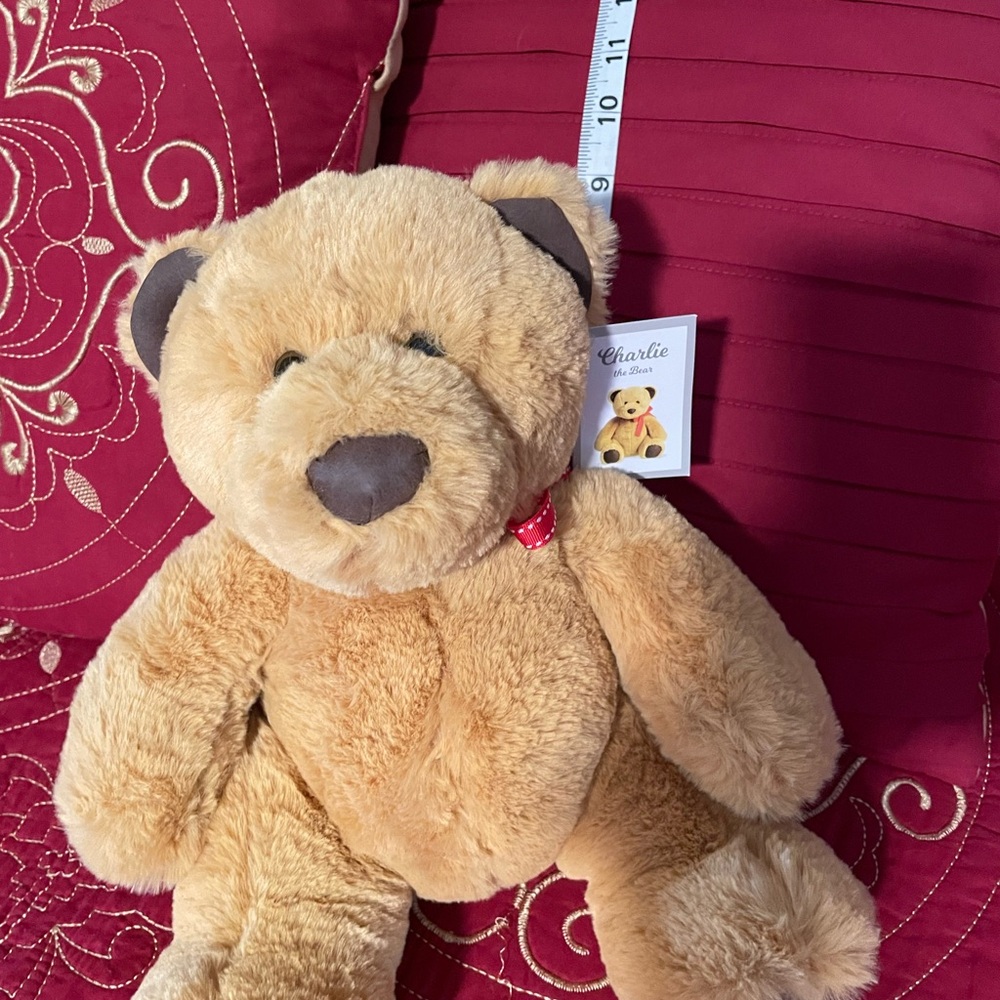 Charlie the Bear Stuffed Animal. - Picture 4 of 4